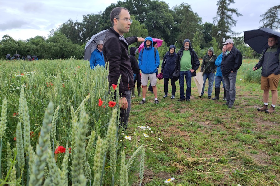 Dr. Carl Vollenweider, Forschung & Züchtung Dottenfelderhof, stellte die biologisch-dynamischen Züchtungsparzellen im Rahmen des HumusKlimaNetz-Feldtages 2024 vor