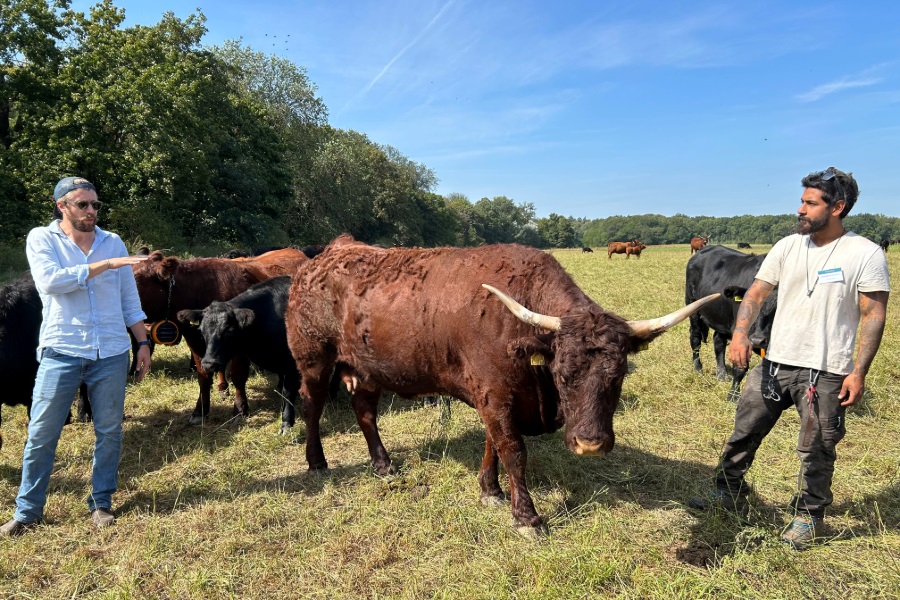 Feldtag auf dem Betrieb Gut&Bösel, 2.9.24