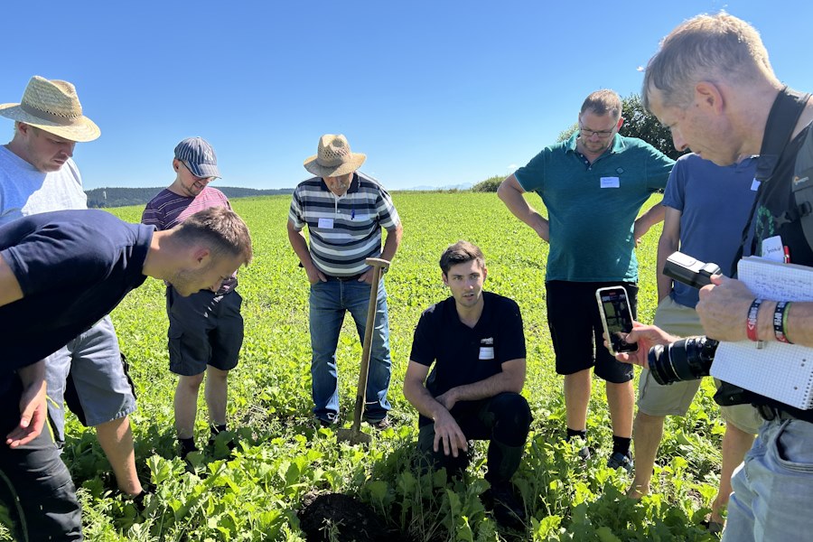 Matthias Schranner, Farmtastic Consulting GmbH, analysiert den Boden unter einer Zwischenfrucht.