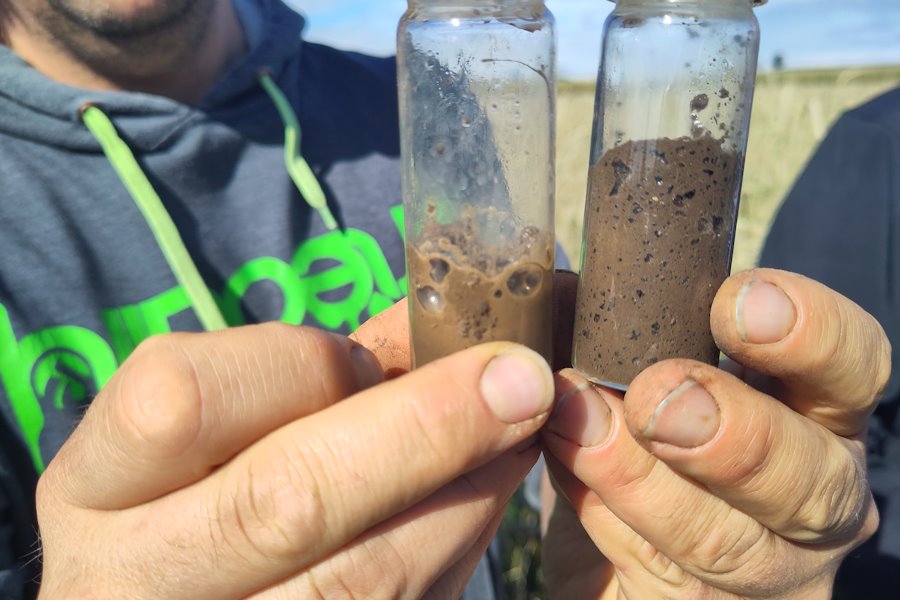 Eine gleiche Menge Erde von einem Acker ohne Bewuchs (links), verglichen mit Erde der Zwischenfrucht (rechts). Die Zugabe von Wasserstoffperoxid macht die Enzymaktivität der Mikroorganismen durch Schaumbildung sichtbar.