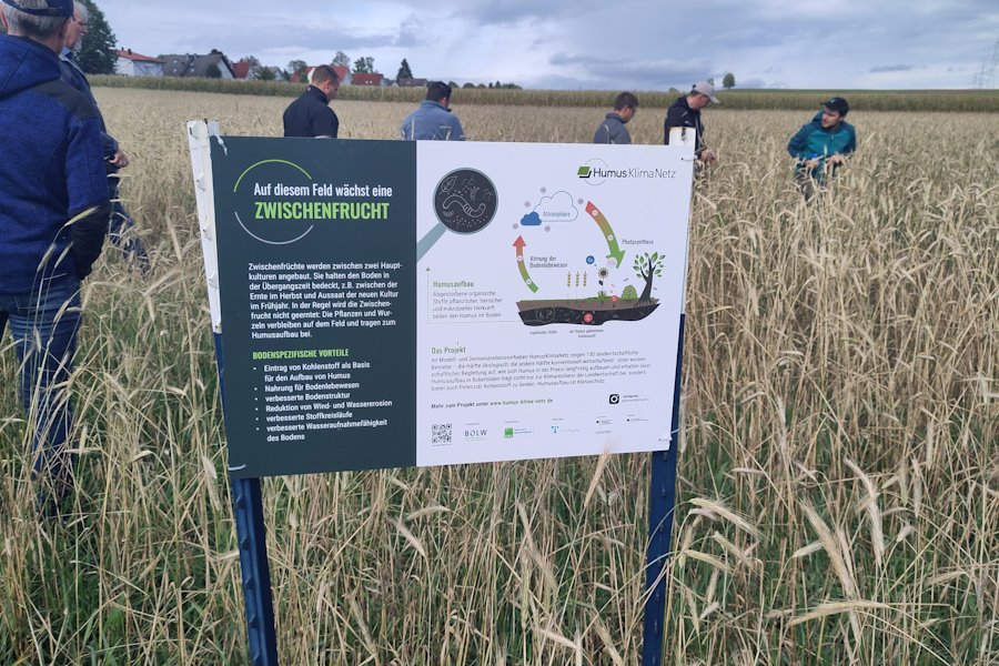 „Doppel-GPS“ (Ganzpflanzensilage) als Zwischenfrucht vor Silomais, mit Sommerroggen, Winterroggen und Leguminosen, liefert im Herbst und Frühjahr einen Schnitt für die Biogasanlage.