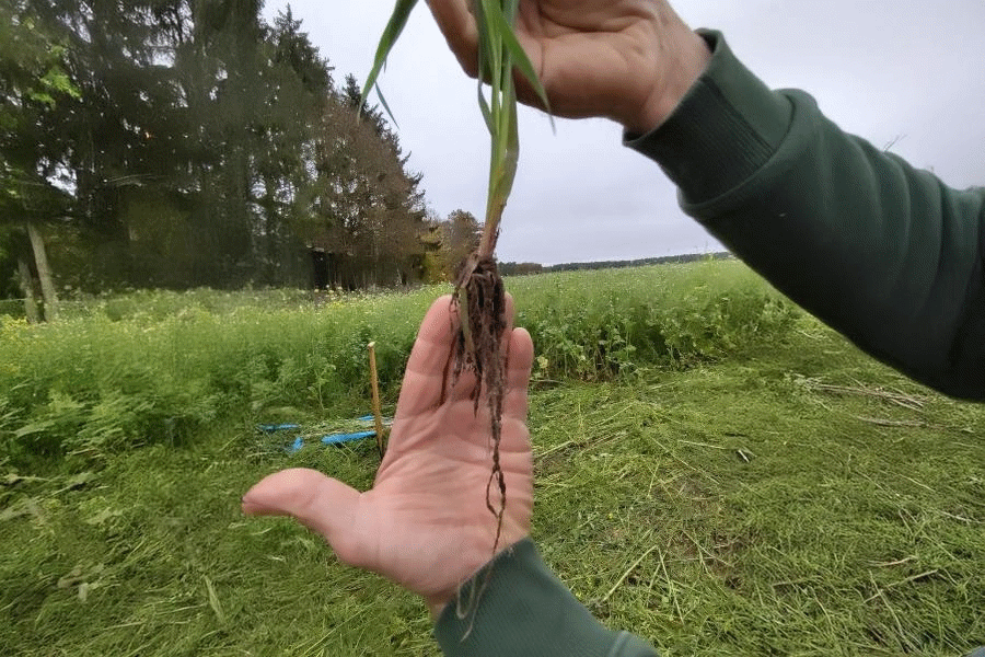 Feldtag auf dem LWB Zahn