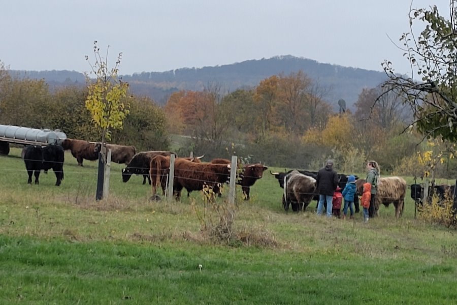 Feldtag auf dem LWB Zahn