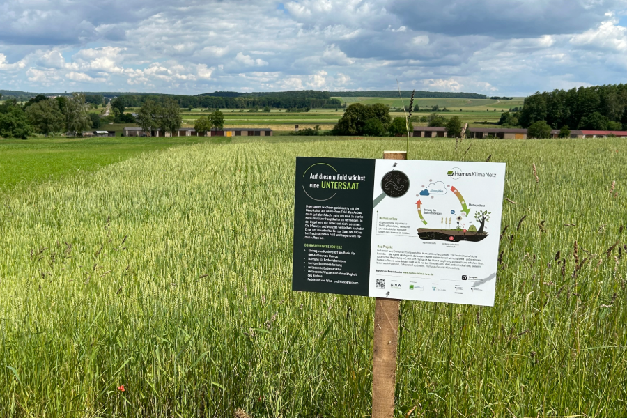 Feldrandschild Untersaat