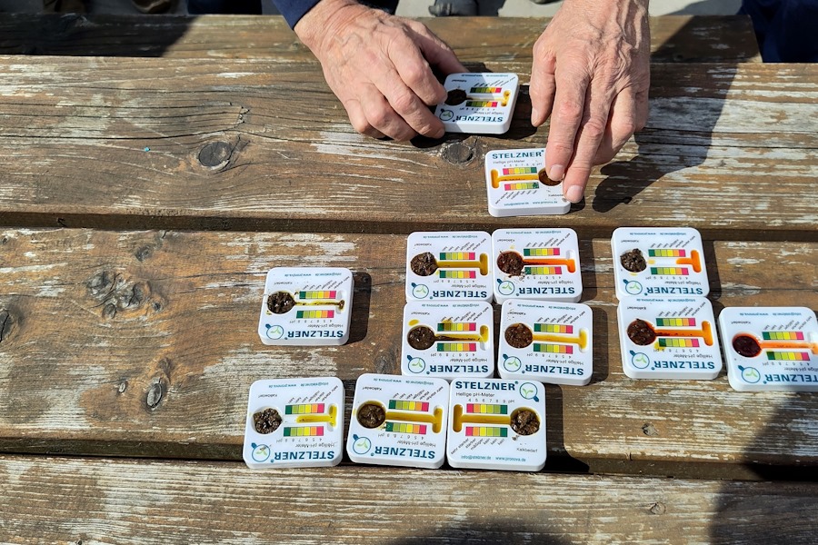 Auswertung der Pehameter