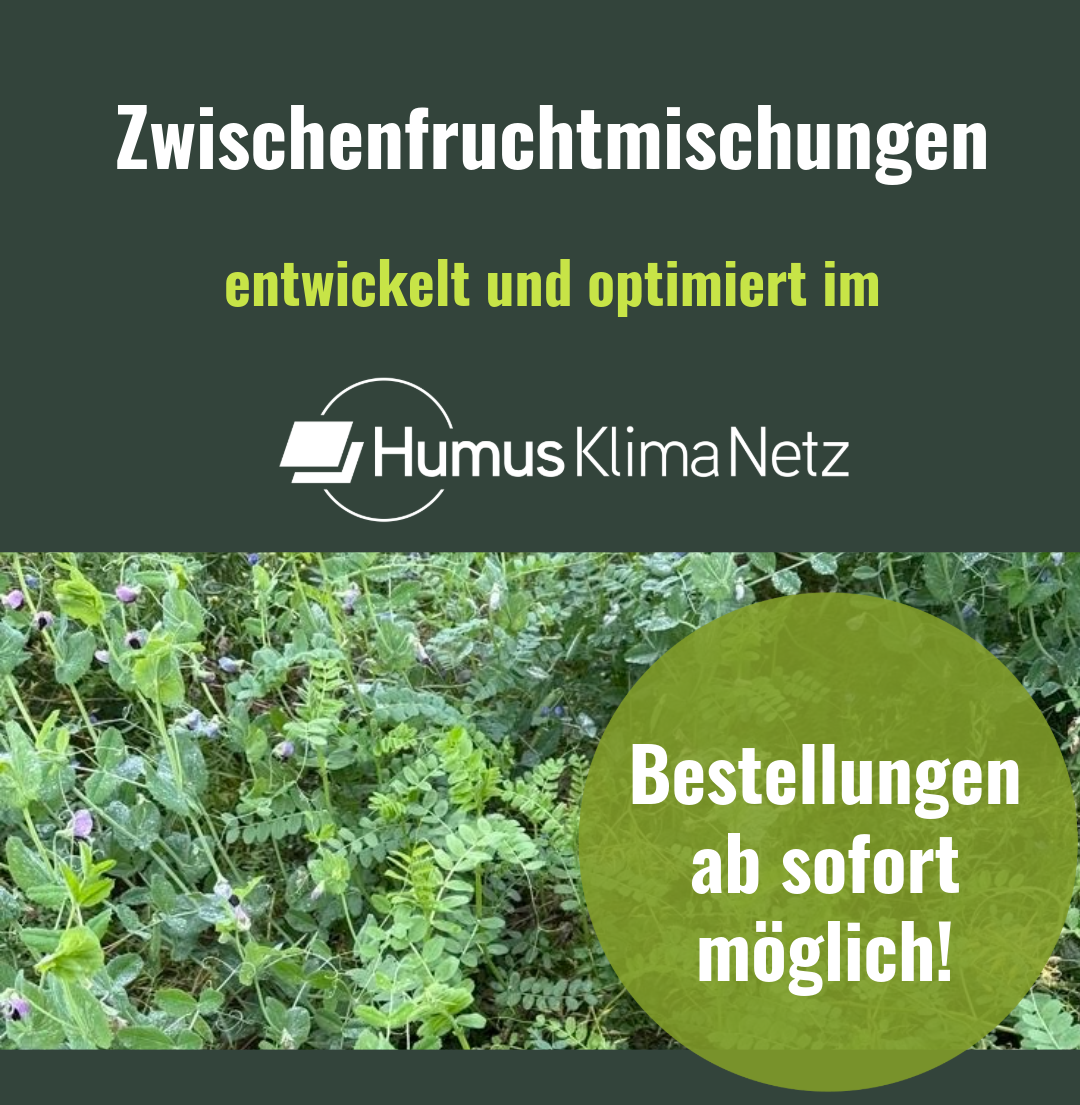 Bild ZF-Mischungen