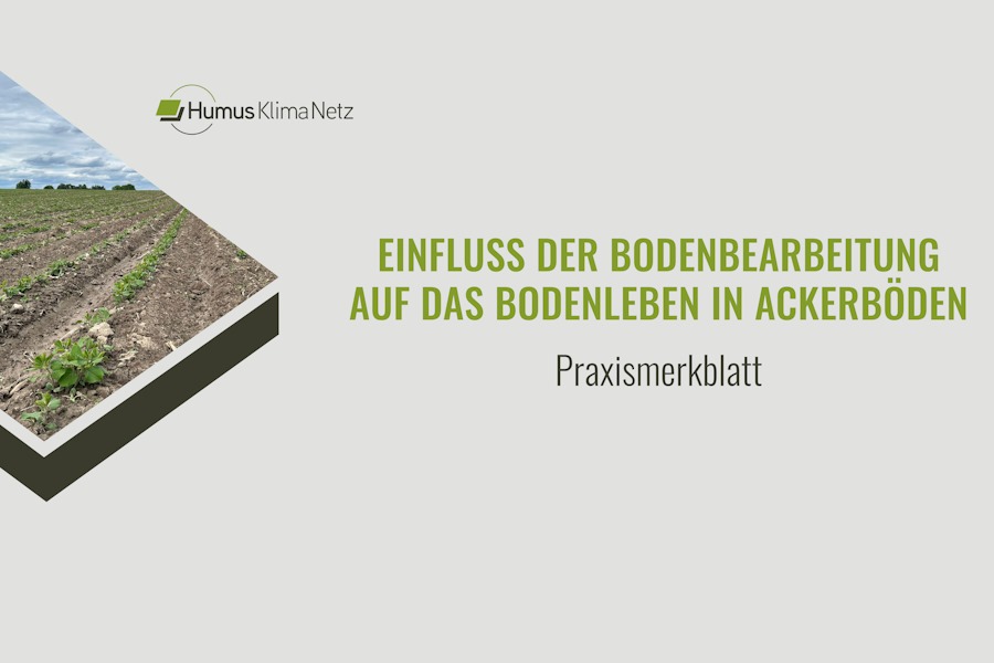 HumusPraxisWissen_Praxismerkblatt Bodenleben(c)HumusKlimaNetz_01